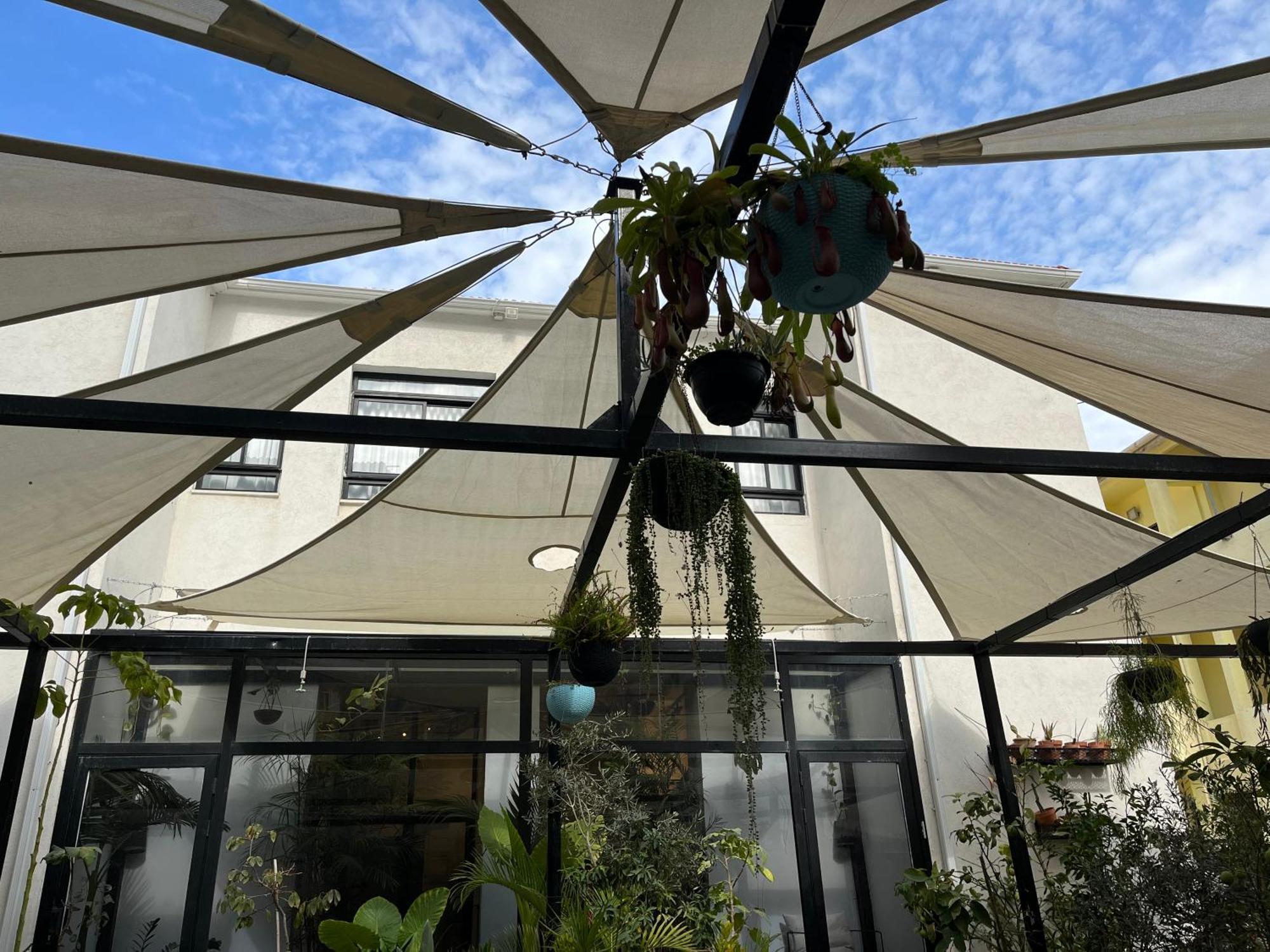Yona 8 Bed & Breakfast Tel Aviv Exterior photo